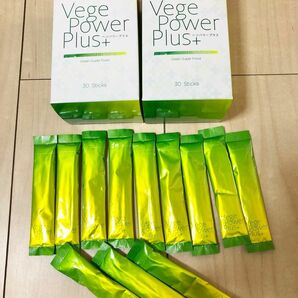 ベジパワープラス　Vege Power Plus＋　スーパーフード青汁　大麦若葉　スピルリナ　海藻　多肉植物　乳酸菌　アビオス