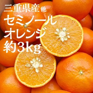 フルーツサンドにもおすすめ　三重県産品他　セミノールオレンジ　約3kg