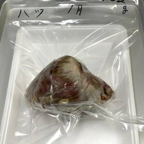 【ジビエ】ツキノワグマ 心臓 ハツ ４５２ｇ 鮮度最高 熊の内臓の画像4