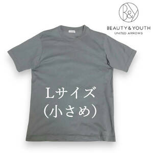 BEAUTY&YOUTH UNITED ARROWS short sleeves T-shirt gray lavender high gauge cotton United Arrows beauty and Youth 