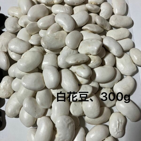 白花豆　令和五年産　300g