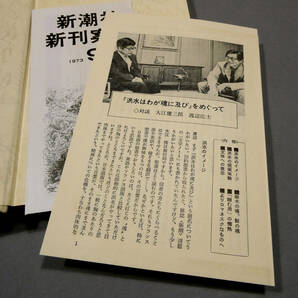 大江健三郎 直筆肉筆 毛筆署名◆「洪水はわが魂に及び」上下巻 昭和48年初版◆函 カバー ビニールカバー 付録冊子◆ノーベル文学賞『飼育』の画像6