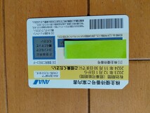 ●ANA 全日空 株主優待券 1枚 有効期限:2024年11月30日 送料無料 _画像1