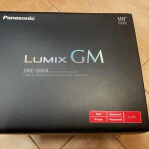 Panasonic DMC-GM5、高倍率ズーム14-140ｍｍ、別売ストロボ、アイカップ付の画像1