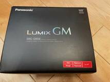 Panasonic DMC-GM5、高倍率ズーム14-140ｍｍ、別売ストロボ、アイカップ付_画像1