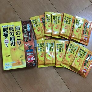 薬治湯 温感 10包入 入浴剤