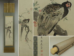 Art hand Auction [Copy] Kansai Mori [Picture of a sea pheasant] ◆ Paperback ◆ Akishi Shikibako ◆ Hanging scroll s02048, painting, Japanese painting, flowers and birds, birds and beasts