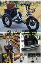 大好評☆お見逃しなく！ 20インチ電動自転車 厚手のタイヤ リチウム電池 三輪車 48V 750Wワイドペダル 三輪車 D180_画像8