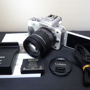 Panasonic LUMIX ミラーレス一眼 DMC-G3