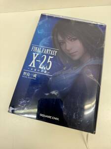 (管25322K)【書籍】FAINAL FANTASY X-2.5 ～永遠の代償～ ファイナルファンタジー 2刷 著者：野島一成 中古現状品