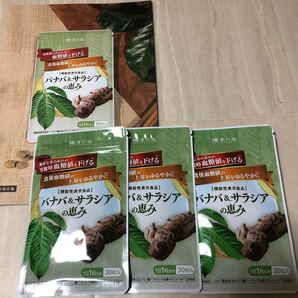 和漢の森 バナバ＆サラシアの恵み 30粒 機能性表示食品 錠剤 バナバ サラシア GABA 空腹時血糖値を下げる 血圧 疲労感を緩和3袋 の画像1