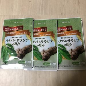 和漢の森 バナバ＆サラシアの恵み 30粒 機能性表示食品 錠剤 バナバ サラシア GABA 空腹時血糖値を下げる 血圧 疲労感を緩和3袋 