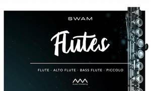 Swam Flute（正規版）ライセンス譲渡 - Audio Modeling社の物理モデリング・フルート音源