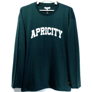 特価/未使用【サイズ=4L(3XL)】英字プリント/メンズ/長袖/Tシャツ/胸囲=110～118cm/dark.green