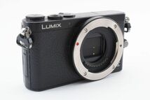 #s46★実用品★ パナソニック PANASONIC LUMIX DMC-GM1 ボディ_画像4