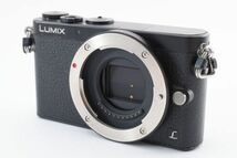 #s46★実用品★ パナソニック PANASONIC LUMIX DMC-GM1 ボディ_画像2