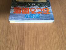 海辺の石ころ図鑑　渡辺一夫　17d4_画像5