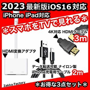 3点 3m iphone ipad HDMI 変換 ケーブル テレビ プロジェクター モニター TV 接続 / iPhone 14 13 12 11 X 8 プラス プロ プロマックス