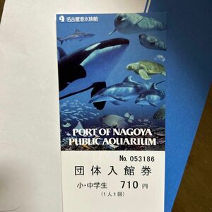名古屋港水族館 入館チケット　小、中学生