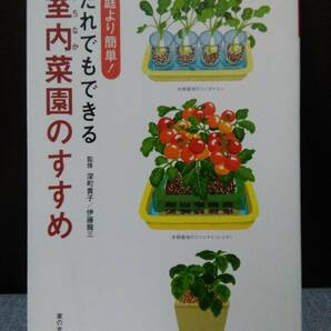 庭より簡単！だれでもできる室内菜園のすすめ　　監修　深町貴子／伊藤龍三