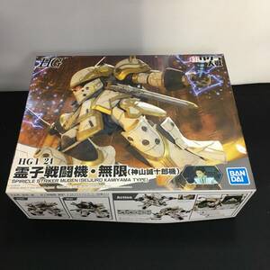 未組立 プラモデル 1/24 HG 霊子戦闘機・無限(神山誠十郎機) 新サクラ大戦 バンダイ