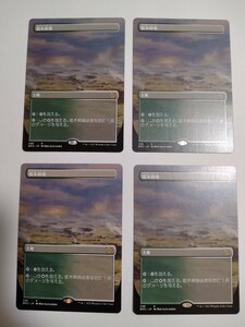 MTG マジックザギャザリング 低木林地 日本語版 4枚セット