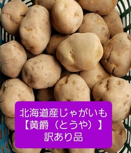 ★北海道産 人気品種　越冬じゃがいも【黄爵（とうや）】訳あり品 約１０キロ