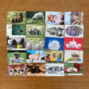 使用済み JR オレンジカード 100枚 自然 動物の画像5