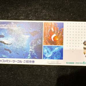 新江ノ島水族館 入館招待券 1枚 -2024.6.30の画像1