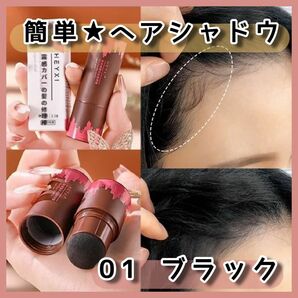 ブラック ヘアシャドウ薄毛 白髪 薄毛隠し 生え際 隠し パウダー