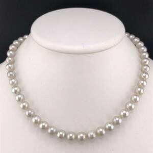 E04-2350 アコヤパールネックレス 8.0mm~8.5mm 42cm 42.8g ( アコヤ真珠 Pearl necklace SILVER )