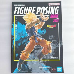 フィギュア ポージング カタログ B5 ペガサス星矢 S.H.Figuarts BANDAI FIGURE POSING book Knights of the Zodiac DRAGON BALL gundam