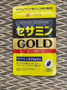 セサミン　GOLD ハーブ健康本舗　賞味期限2025.12 