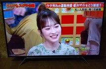 東芝 TOSHIBA 4K REGZA 50Z810X 50型 液晶 TV ２０１８年製 3チューナー W録画 タイムシフト Netflix YouTube スカパー対応【超希少美品】_画像7