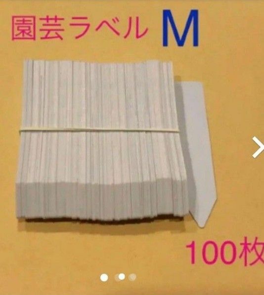 園芸ラベルM 100枚