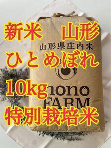 ひとめぼれ　10kg 令和5年　山形　特別栽培米