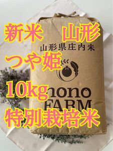 つや姫　10kg 山形　令和5年　特別栽培米