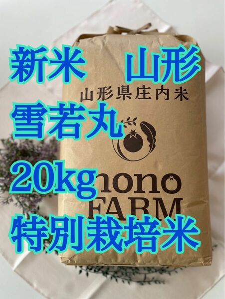 雪若丸　20kg 山形　特別栽培米　令和5年