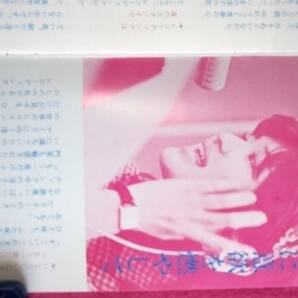 桜田淳子後援会 会報 さくらんぼ №20 昭和51年9月10日 匿名配送の画像7