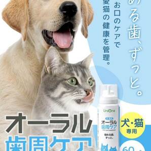 Uni One オーラル 歯周ケア　新品　未使用　歯周病　いぬ　ねこ　犬　猫　イヌ　ネコ　歯　口　口臭　口内ケア