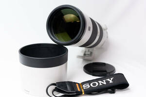 動作品 防湿庫保管 SONY SEL200600G FE 200-600mm F5.6-6.3 G OSS カメラレンズ 超望遠 ズーム Eマウント ソニー 飛行機 鳥撮り サーキット