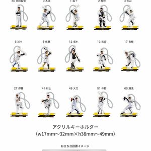 阪神タイガース　選手コラボメニュー　アクリルキーホルダー　カード　セット　未開封