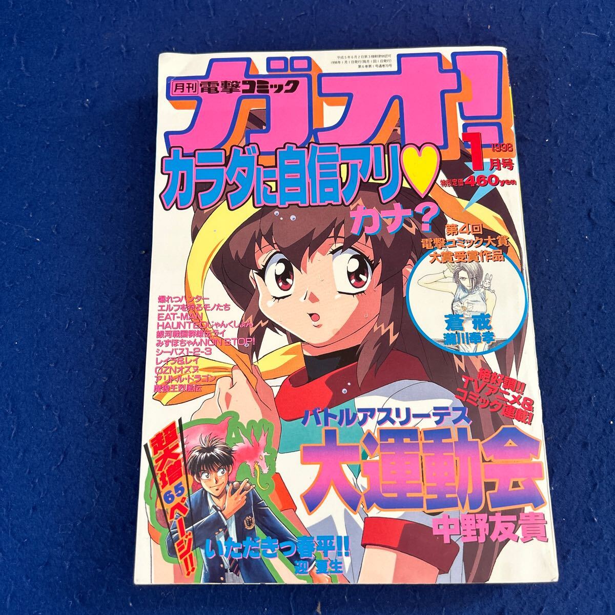 Amazon.co.jp: エルフを狩るモノたち DX (電撃コミックス) eBook