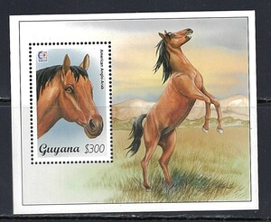 ガイアナ 1995年 #2940(NH) 馬(American Anglo-Arab)