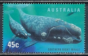  Australia 1998 year #1704(NH) whale only .