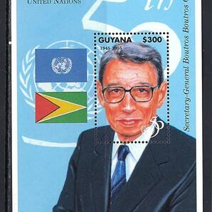 ガイアナ 1995年 #2953(NH) 国際連合50年 / 安全保障理事会議長 の画像1