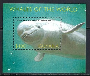 ガイアナ 2002年 #3724(NH) 海生哺乳(Beluga Whale)