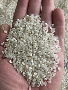 ＊ 令和5年度栽培　くず米　精米　飼料用　20キロ
