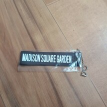 MADISON SQUARE GARDEN マジソンスクエアガーデン ミニバッグ_画像7