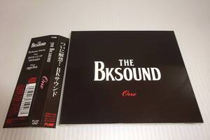 美品★The Bksound★One★湘南乃風DJ★Metis★T.O.K.★SONPUB★MONGOL800★キヨサク★細美武士★レゲエ★2枚同梱180円